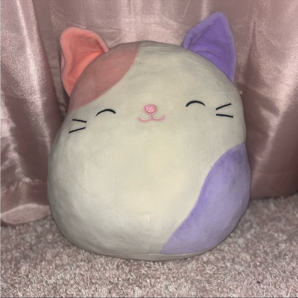 cat carlota squishmallow 12"